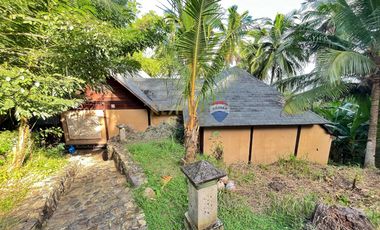 For Sale: 5,321 sqm Beach House in Malimatoc Mabini Batangas
