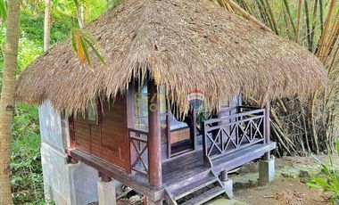 For Sale: 5,321 sqm Beach House in Malimatoc Mabini Batangas