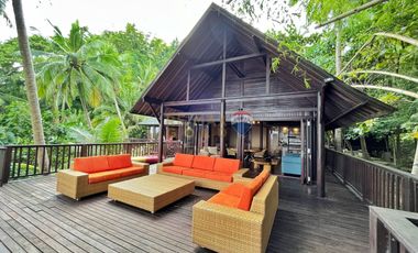 For Sale: 5,321 sqm Beach House in Malimatoc Mabini Batangas