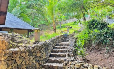 For Sale: 5,321 sqm Beach House in Malimatoc Mabini Batangas