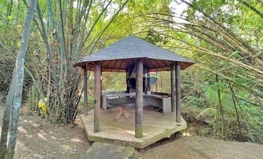 For Sale: 5,321 sqm Beach House in Malimatoc Mabini Batangas