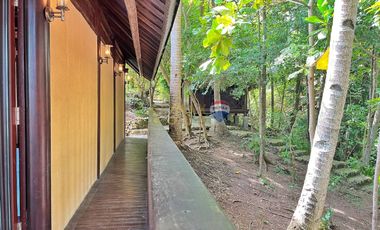 For Sale: 5,321 sqm Beach House in Malimatoc Mabini Batangas