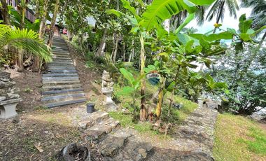 For Sale: 5,321 sqm Beach House in Malimatoc Mabini Batangas
