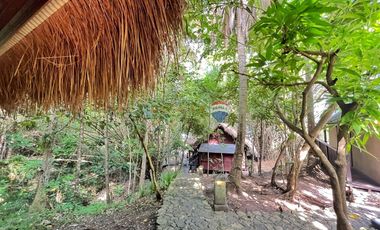 For Sale: 5,321 sqm Beach House in Malimatoc Mabini Batangas
