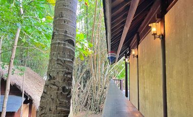 For Sale: 5,321 sqm Beach House in Malimatoc Mabini Batangas