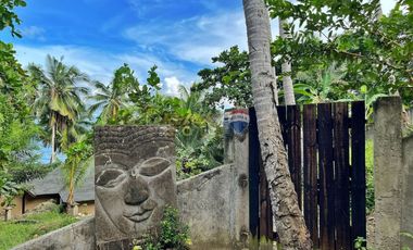 For Sale: 5,321 sqm Beach House in Malimatoc Mabini Batangas