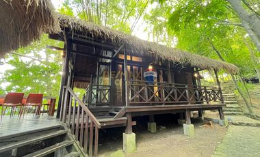 For Sale: 5,321 sqm Beach House in Malimatoc Mabini Batangas