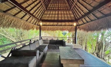 For Sale: 5,321 sqm Beach House in Malimatoc Mabini Batangas