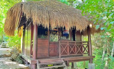 For Sale: 5,321 sqm Beach House in Malimatoc Mabini Batangas