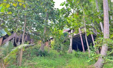 For Sale: 5,321 sqm Beach House in Malimatoc Mabini Batangas