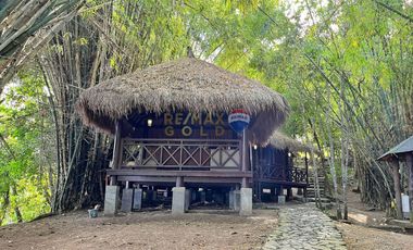 For Sale: 5,321 sqm Beach House in Malimatoc Mabini Batangas
