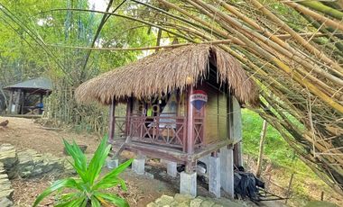 For Sale: 5,321 sqm Beach House in Malimatoc Mabini Batangas