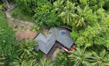 For Sale: 5,321 sqm Beach House in Malimatoc Mabini Batangas