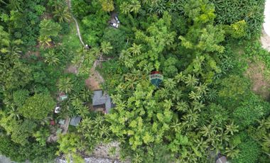 For Sale: 5,321 sqm Beach House in Malimatoc Mabini Batangas