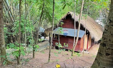 For Sale: 5,321 sqm Beach House in Malimatoc Mabini Batangas