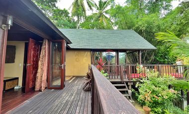 For Sale: 5,321 sqm Beach House in Malimatoc Mabini Batangas