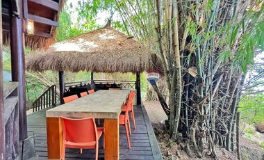 For Sale: 5,321 sqm Beach House in Malimatoc Mabini Batangas
