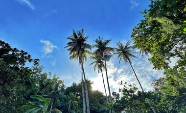 For Sale: 5,321 sqm Beach House in Malimatoc Mabini Batangas