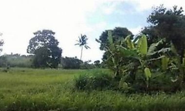 Lot for sale In Tropical Greens Tagaytay City