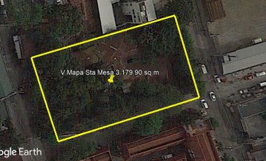 V. MAPA STREET, SANTA MESA MANILA LOT FOR SALE @ 3,179 SQ.M