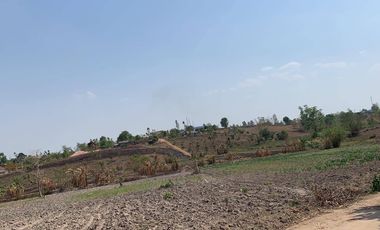 100 Rai Land for sale in Chiang Rai Province