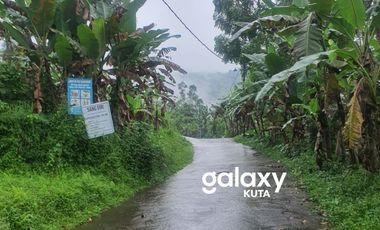 DIJUAL TANAH PURA PETALI JATILUWIH PENEBEL TABANAN, BALI