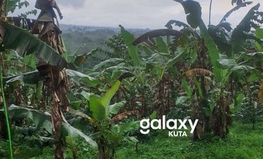 DIJUAL TANAH PURA PETALI JATILUWIH PENEBEL TABANAN, BALI