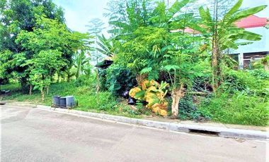 Lot For Sale in Maryville Subdivision Talamban Cebu City