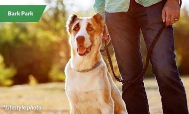 2BR COMPLETE TOWNHOUSE FOR SALE CALISTA MODEL | 3BR SINGLE ATTACHED HOUSE FOR SALE UNNA MODEL | PHIRST PARK HOMES TANZA CAVITE