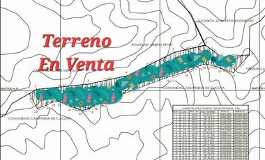 🌳 ¡Oportunidad única! Terreno de 10 hectáreas en Lurín 🌳