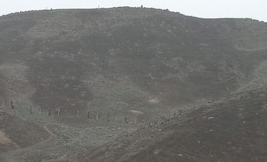 🌳 ¡Oportunidad única! Terreno de 10 hectáreas en Lurín 🌳