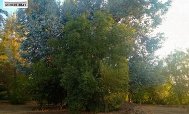 SE VENDE PARCELA HERMOSA EN SECTOR CHALLACO