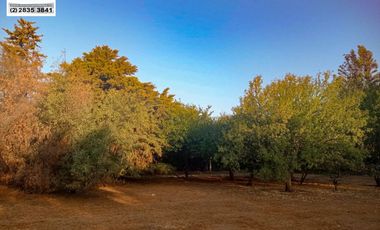 SE VENDE PARCELA HERMOSA EN SECTOR CHALLACO