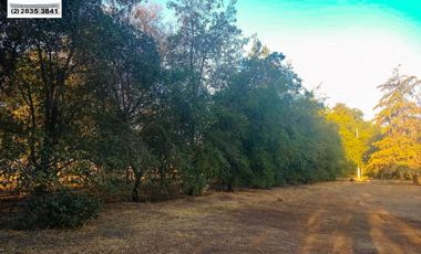 SE VENDE PARCELA HERMOSA EN SECTOR CHALLACO