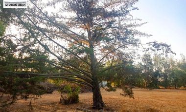 SE VENDE PARCELA HERMOSA EN SECTOR CHALLACO