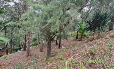 Terreno en la Peña de Valle de Bravo