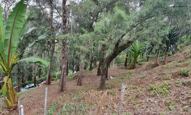 Terreno en la Peña de Valle de Bravo