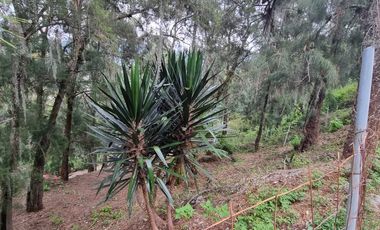 Terreno en la Peña de Valle de Bravo