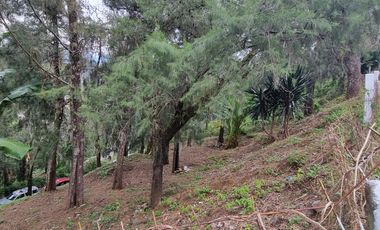 Terreno en la Peña de Valle de Bravo