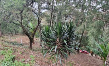 Terreno en la Peña de Valle de Bravo