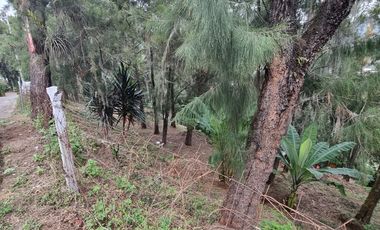 Terreno en la Peña de Valle de Bravo