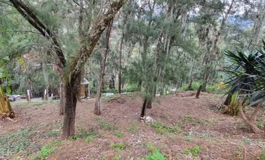 Terreno en la Peña de Valle de Bravo