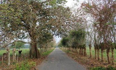 Terreno en renta cerca del aeropuerto internacional de villahermosa, tabasco.