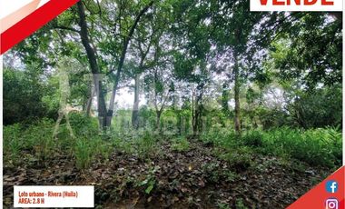 SE VENDE LOTE URBANO 2.8H - RIVERA (HUILA -COL)