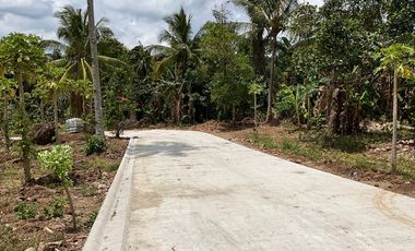 Ready for Housing Installment Farm Lot with Exclusive Resort in Indang Cavite