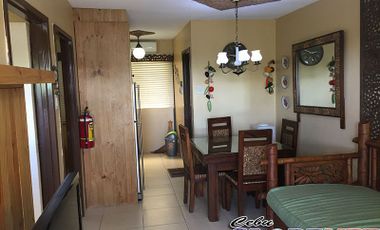 Furnished 2- Bedroom One Oasis Mabolo for sale or rent in Cebu City