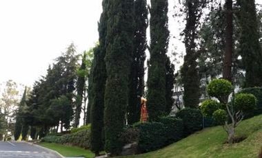 RESIDENCIAL JUNTO AL BOSQUE