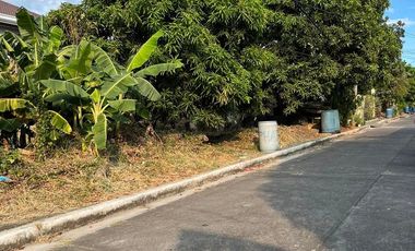 Lot Only for Sale In Ridgemond Taytay Rizal