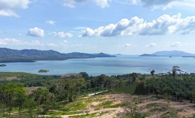 Fantastic sea view 18.5 rai of hillside land for sale in Takua Thung, Phang Nga.