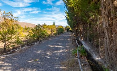 Venta de hermosa Parcela con 2 casas, piscina y quincho, Vicuña. 11.000 UF